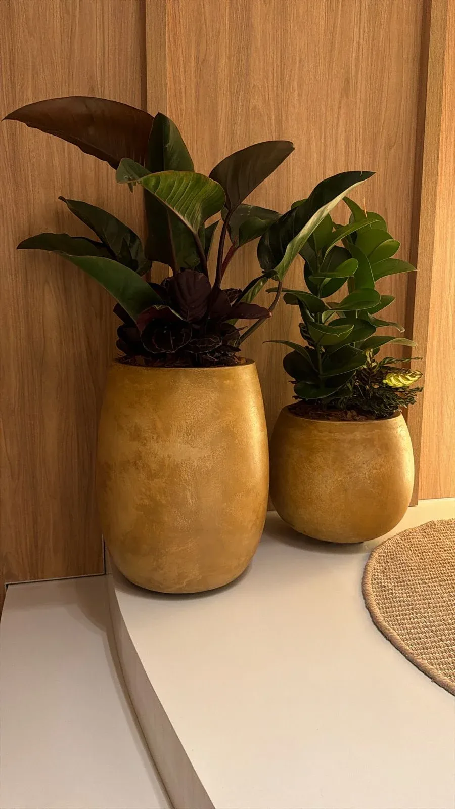 ABA VASOS - ORNAMENTAIS - FÁBRICA - PARA PLANTAS -TIPOS VIETNAMITAS - EM BH - COM RODAS E DISPENSER