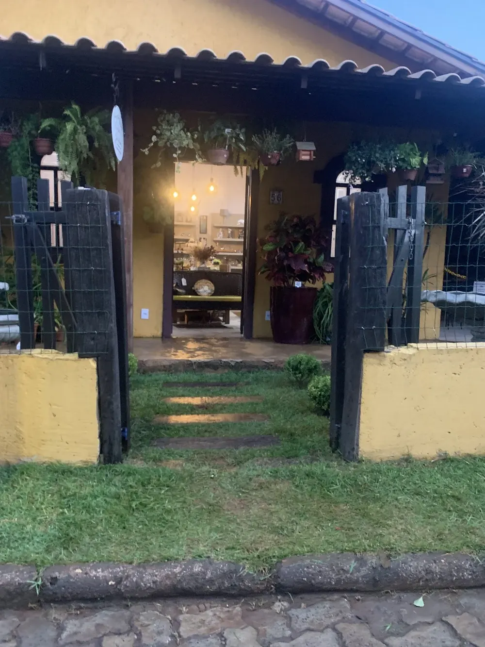 Floricultura Beija Flor - Silva Lobo